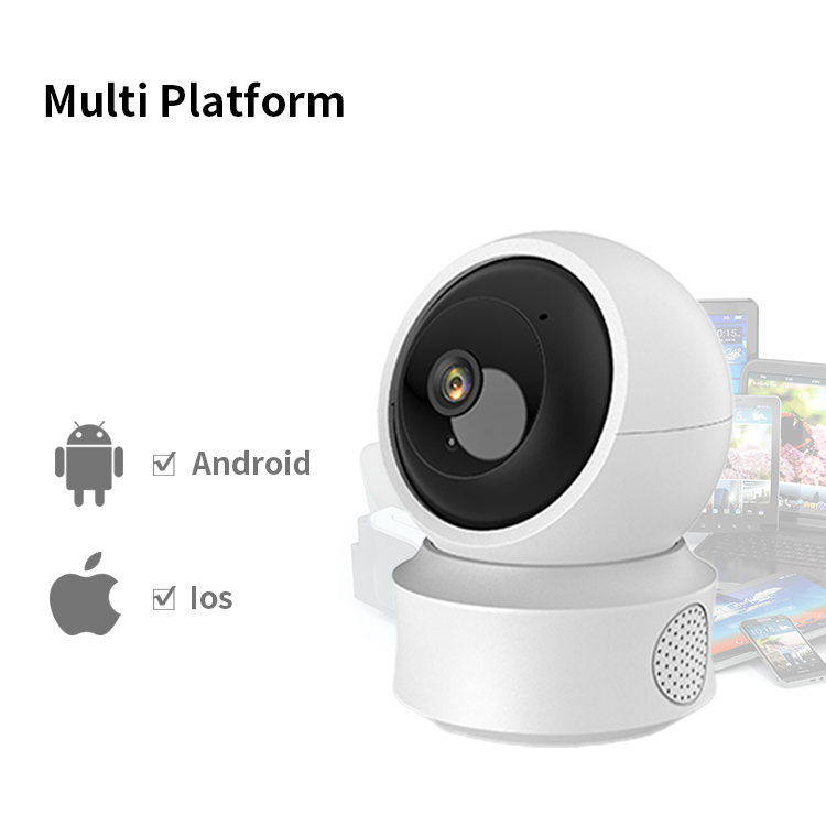PT Camera AP-B166