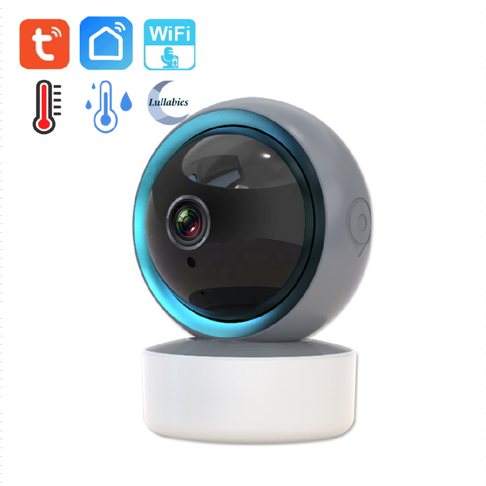 PT Camera AP-B246
